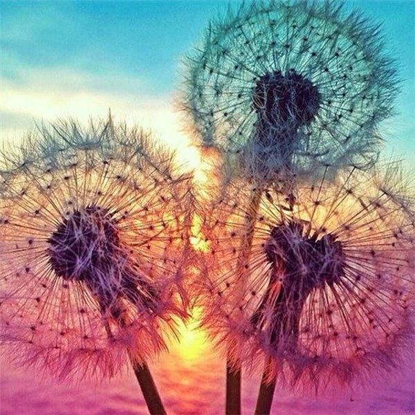 3 Löwenzahnblüten im Sonnenlicht - 5D DIY Diamond Painting