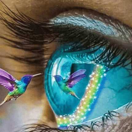 Auge mit buntem Kolibri - 5D DIY Diamond Painting
