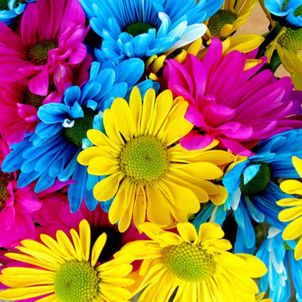 Bunte Margeriten - Voll AB 5D DIY Diamond Painting