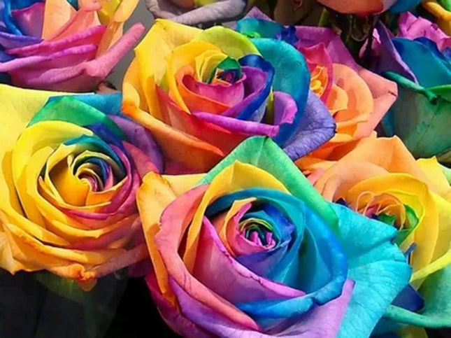 Bunte Rosenblüten - Voll AB 5D DIY Diamond Painting