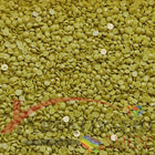 DMC 3819 Moss Green LT - runde Steine - Diamond Painting