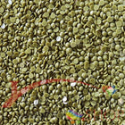 DMC 580 Moss Green DK - runde Steine - Diamond Painting