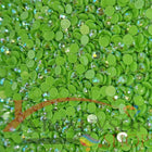 DMC 906 Parrot Green MED - runde Steine - Aurora Borealis (AB) - Diamond Painting
