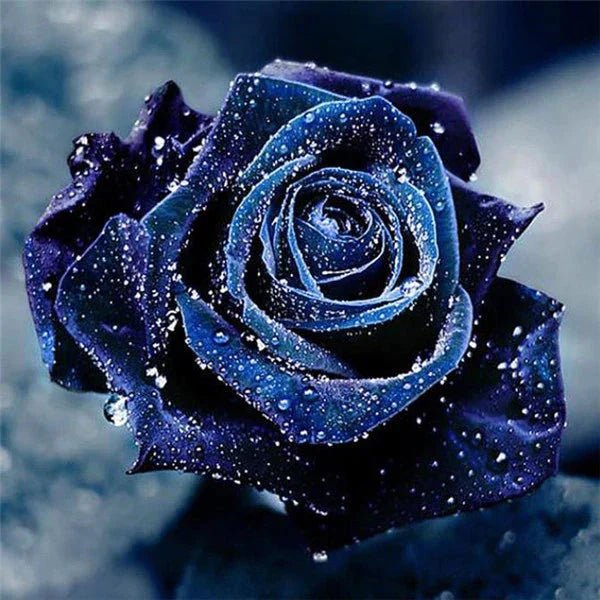 Dunkelblaue Rosenblüte - 5D DIY Diamond Painting