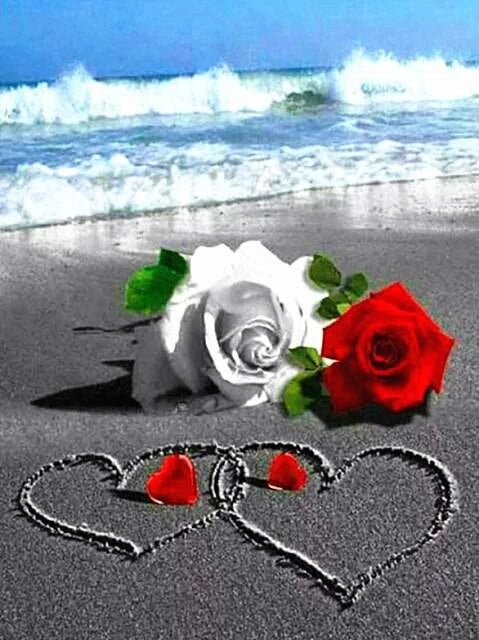 Eine romantische Liebeserklärung am Meer mit Rosen - 5D DIY Diamond Painting