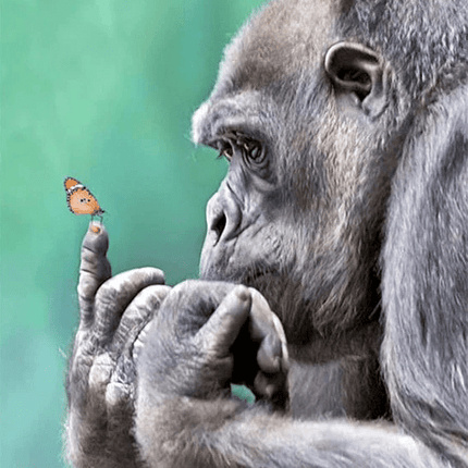 Gorilla bestaunt Schmetterling auf seinem Finger - 5D DIY Diamond Painting