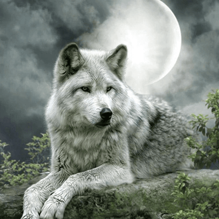 Grauer Wolf mit Mond - 5D DIY Diamond Painting