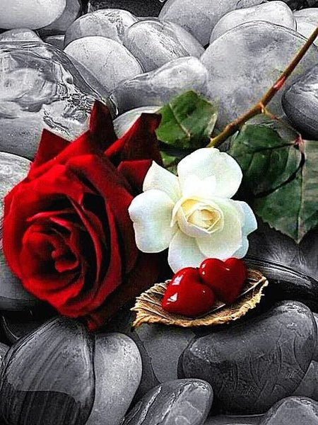 Ich Liebe Dich mit Rosen und Herzen - 5D DIY Diamond Painting