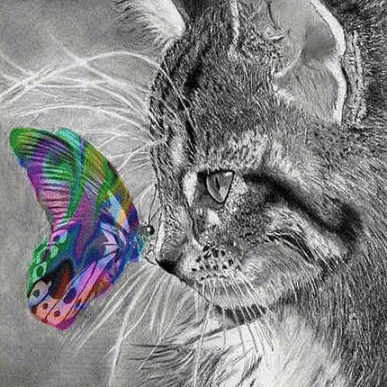 Katze mit bunten Schmetterling - 5D DIY Diamond Painting