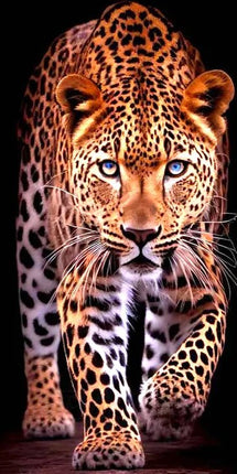 Leopard - 5D DIY Diamond Painting