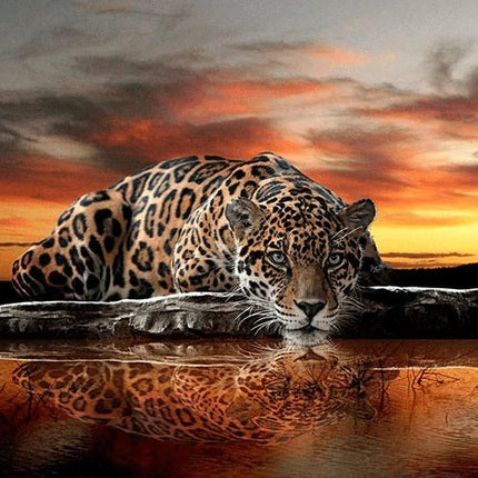 Leopard am Wasser - 5D DIY Diamond Painting
