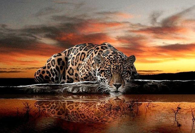 Leopard am Wasser - 5D DIY Diamond Painting