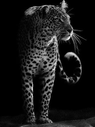 Leopard in schwarz weiss - 5D DIY Diamond Painting
