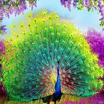 Pfau mit offenem Rad - Voll AB 5D DIY Diamond Painting