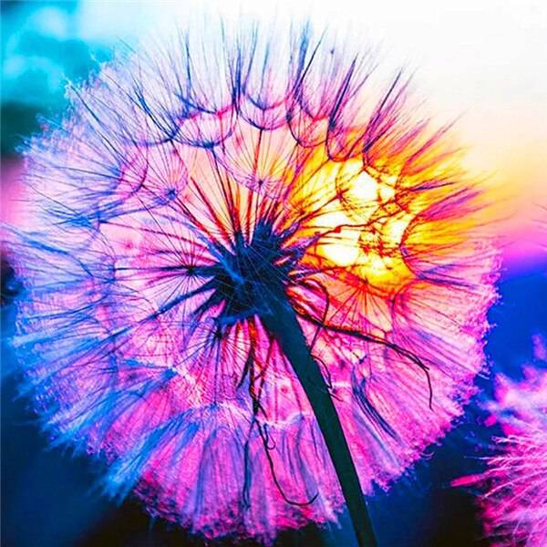 Pusteblume Pink - 5D DIY Diamond Painting
