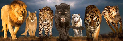 Raubkatzen - 5D DIY Diamond Painting