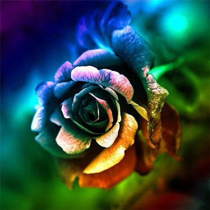 Rose mit bunten Blütenblättern - 5D DIY Diamond Painting