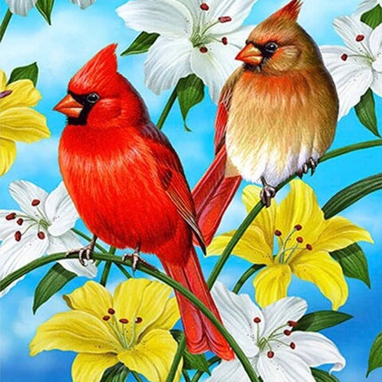 Roter Kardinal - Voll AB 5D DIY Diamond Painting