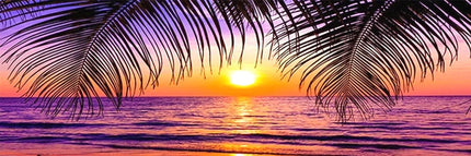 Sonnenuntergang und Palmenblätter - 5D DIY Diamond Painting