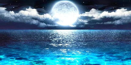 Vollmond am Meer - 5D DIY Diamond Painting