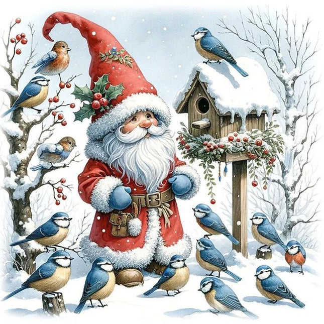 Weihnachtsmann mit Vögel - 5D DIY Diamond Painting