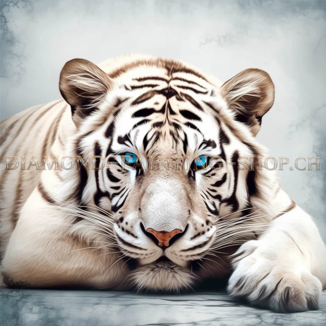 Weisser Tiger mit blauen Augen - 5D DIY Diamond Painting