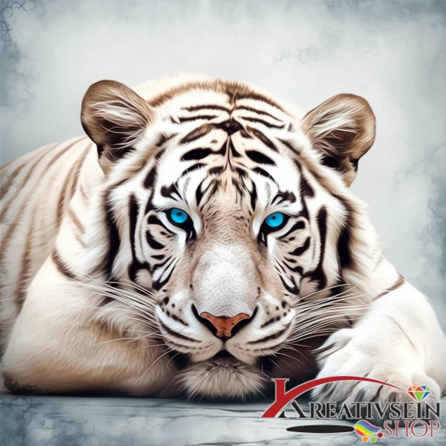 Weisser Tiger mit blauen Augen - Malen nach Zahlen